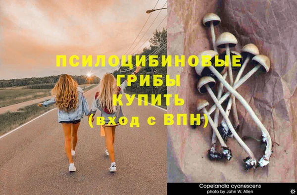 ГАЛЛЮЦИНОГЕННЫЕ ГРИБЫ Арсеньев