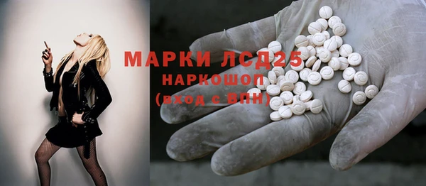 ГАЛЛЮЦИНОГЕННЫЕ ГРИБЫ Арсеньев
