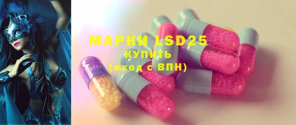ГАЛЛЮЦИНОГЕННЫЕ ГРИБЫ Арсеньев