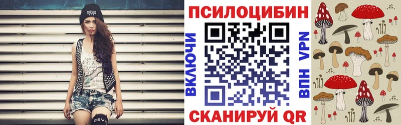Псилоцибиновые грибы Psilocybine cubensis  Верхняя Салда 